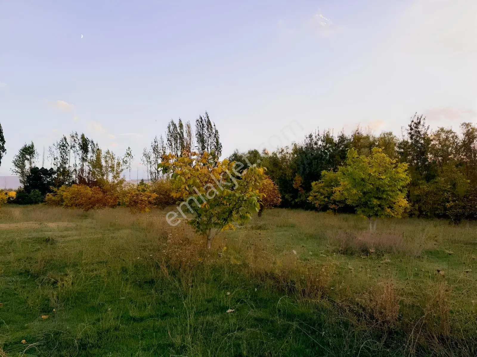 Van Edremit Elmalıkta Satılık 5.153 M² Yatırımlık Parsel — fotoğraf 7