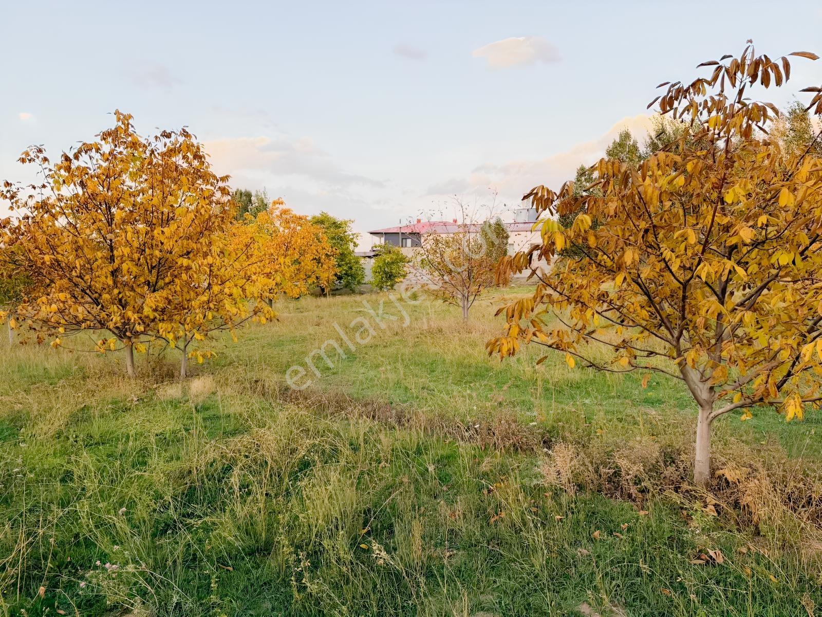 Van Edremit Elmalıkta Satılık 5.153 M² Yatırımlık Parsel — fotoğraf 8