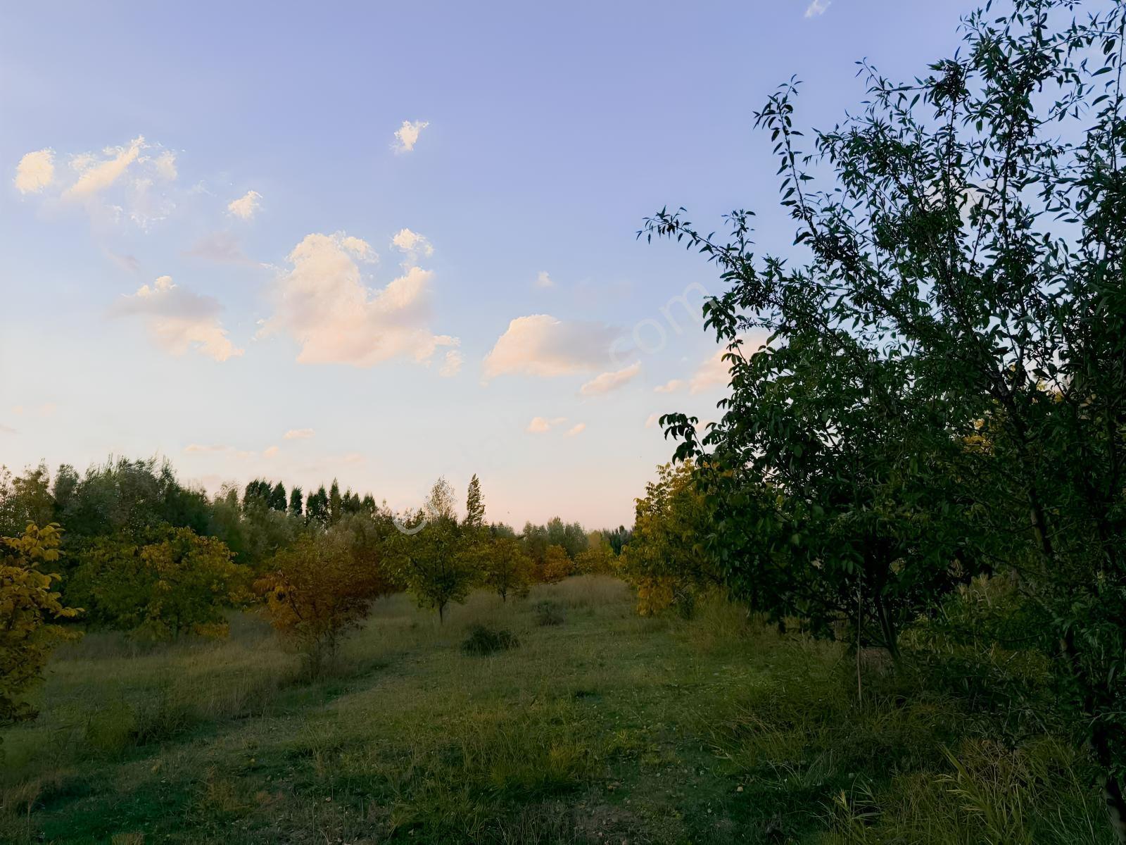 Van Edremit Elmalıkta Satılık 5.153 M² Yatırımlık Parsel — fotoğraf 10
