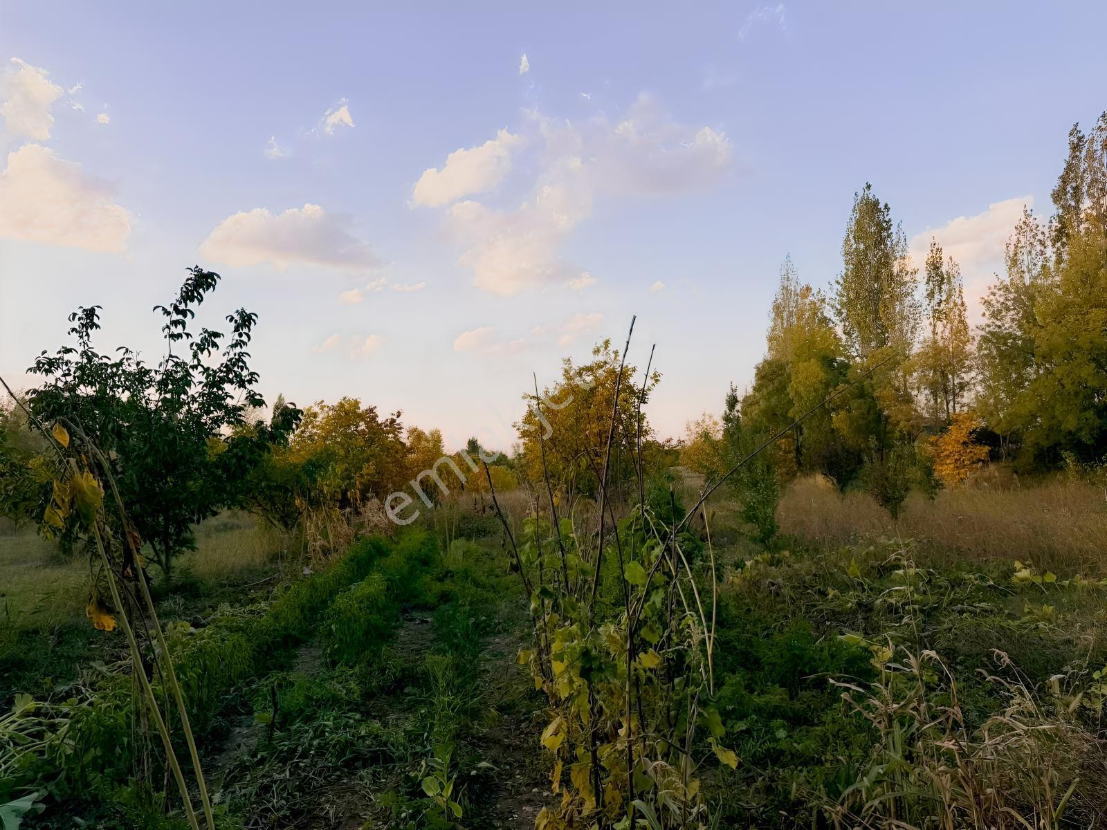 Van Edremit Elmalıkta Satılık 5.153 M² Yatırımlık Parsel — fotoğraf 13