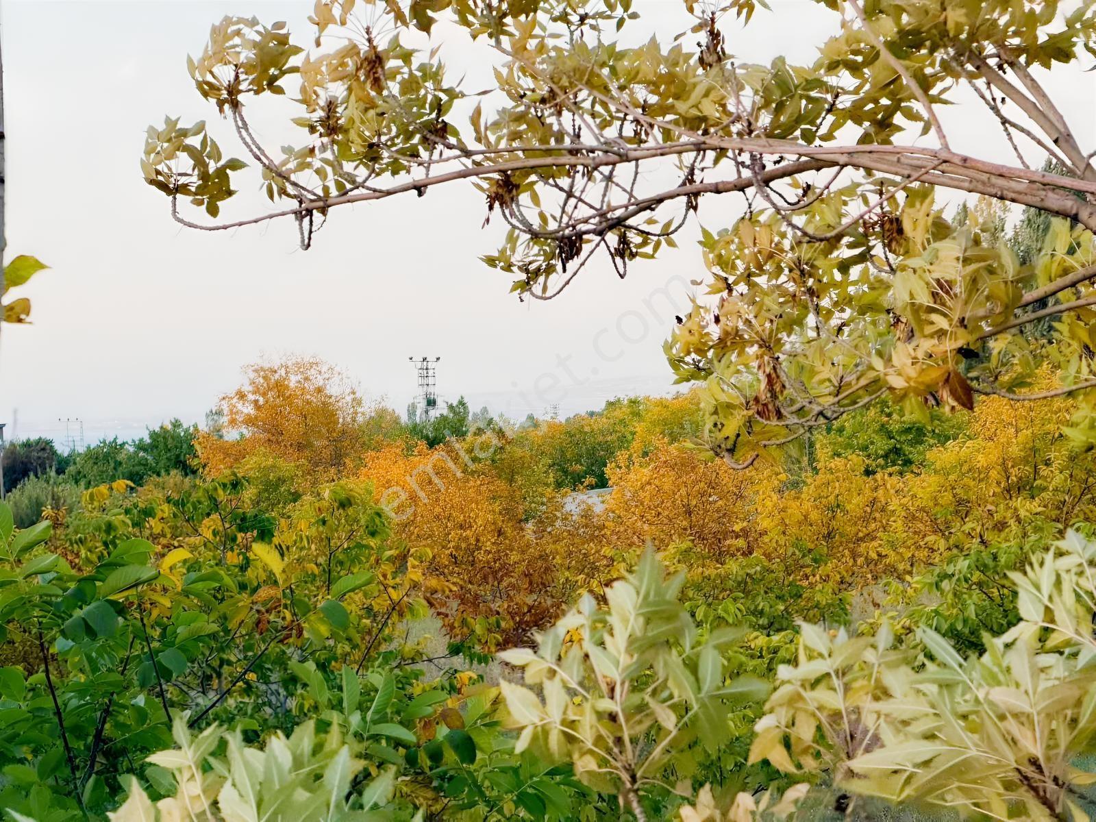 Van Edremit Elmalıkta Satılık 5.153 M² Yatırımlık Parsel — fotoğraf 14