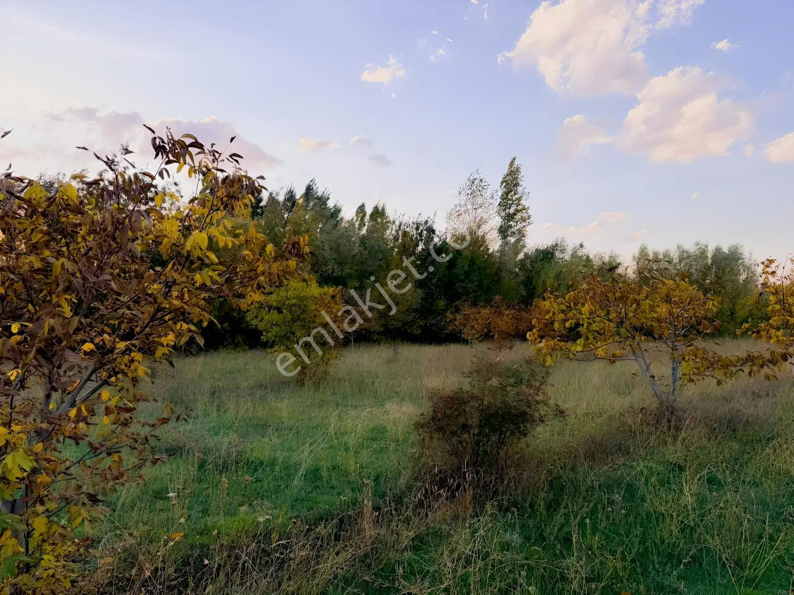 Van Edremit Elmalıkta Satılık 5.153 M² Yatırımlık Parsel — fotoğraf 20