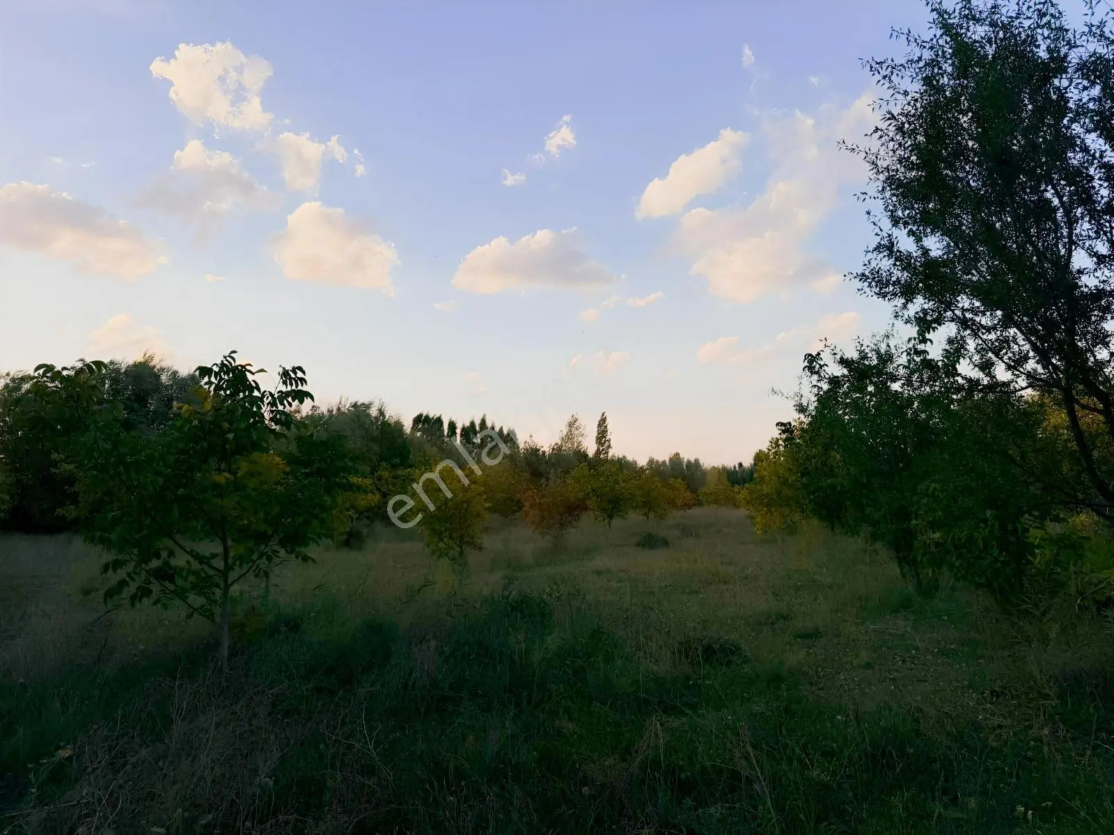 Van Edremit Elmalıkta Satılık 5.153 M² Yatırımlık Parsel — fotoğraf 22