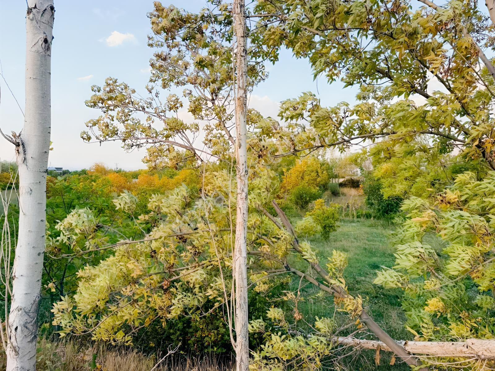 Van Edremit Elmalıkta Satılık 5.153 M² Yatırımlık Parsel — fotoğraf 23