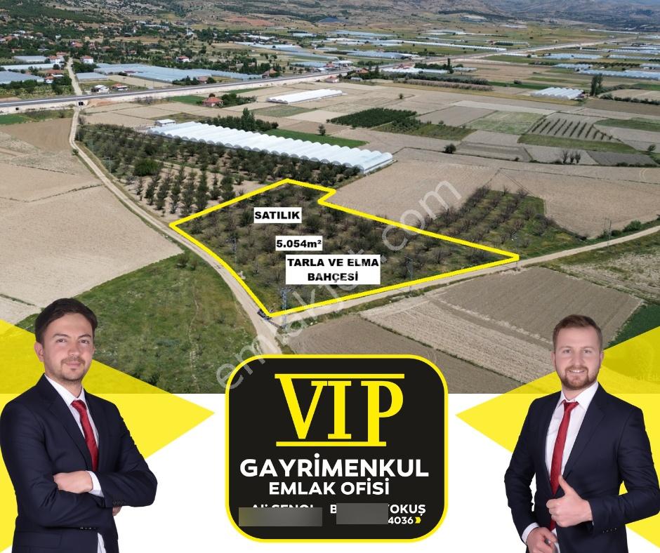 Vıp Gayrimenkul' Den Çukurelma Mah. Anayola Yakın Elma Bahçesi