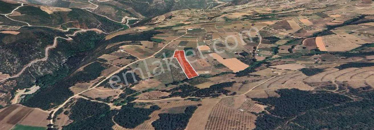 Bursa Kestel Kayacık'ta Doğa Ve Orman Manzaralı 200 M² Hobi Bahçesi — fotoğraf 2
