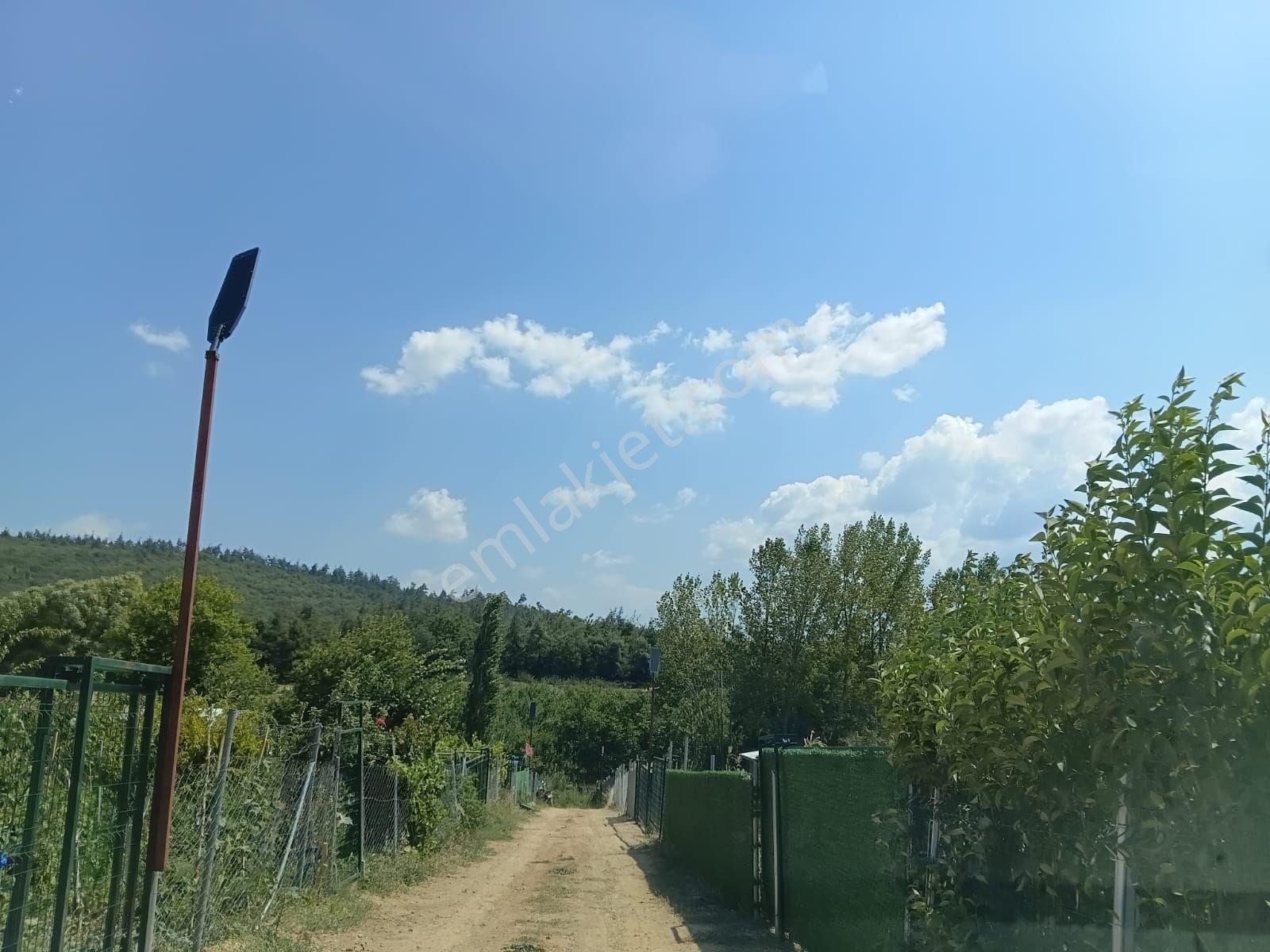 Bursa Kestel Kayacık'ta Doğa Ve Orman Manzaralı 200 M² Hobi Bahçesi — fotoğraf 6