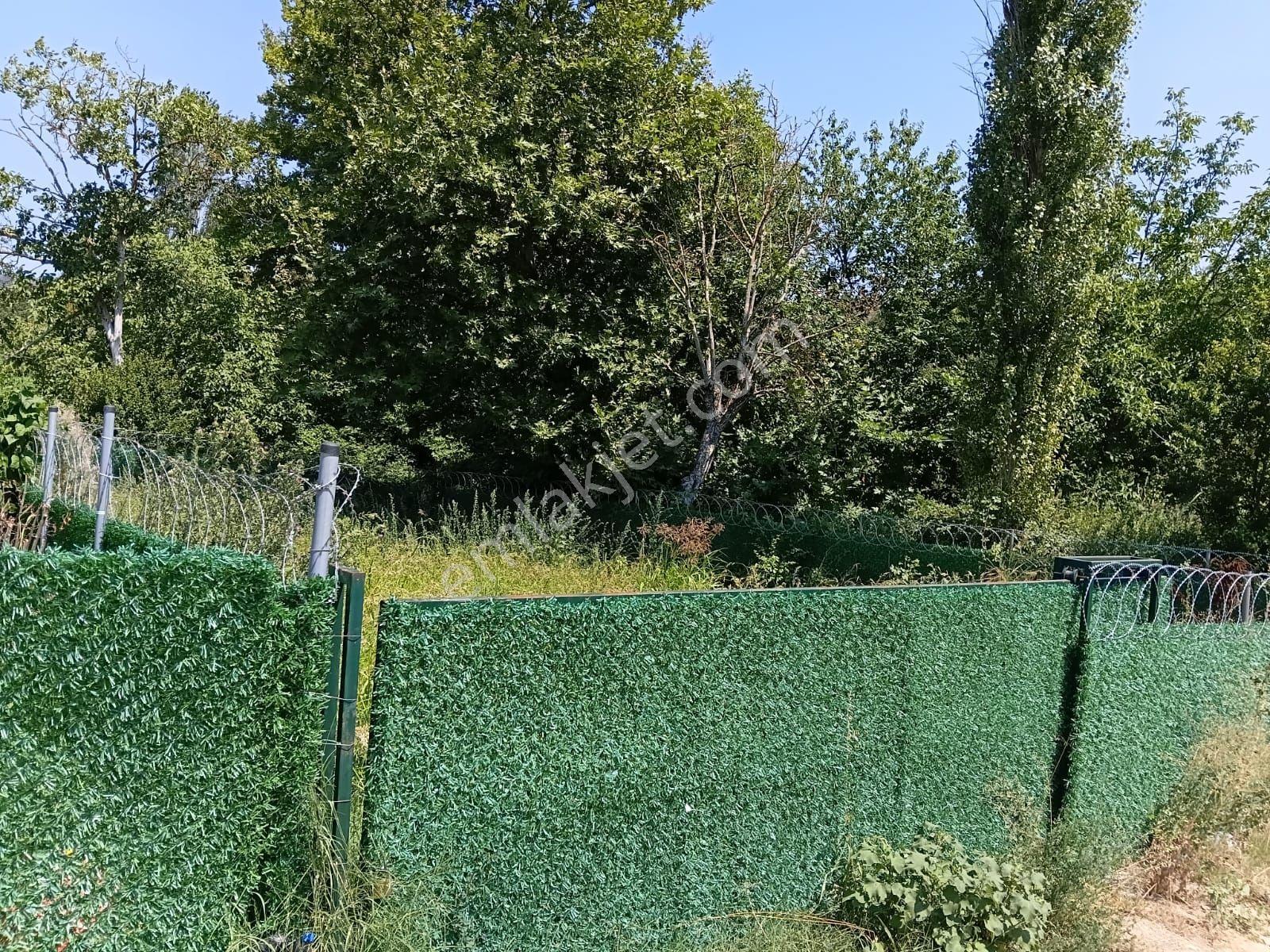 Bursa Kestel Kayacık'ta Doğa Ve Orman Manzaralı 200 M² Hobi Bahçesi — fotoğraf 8
