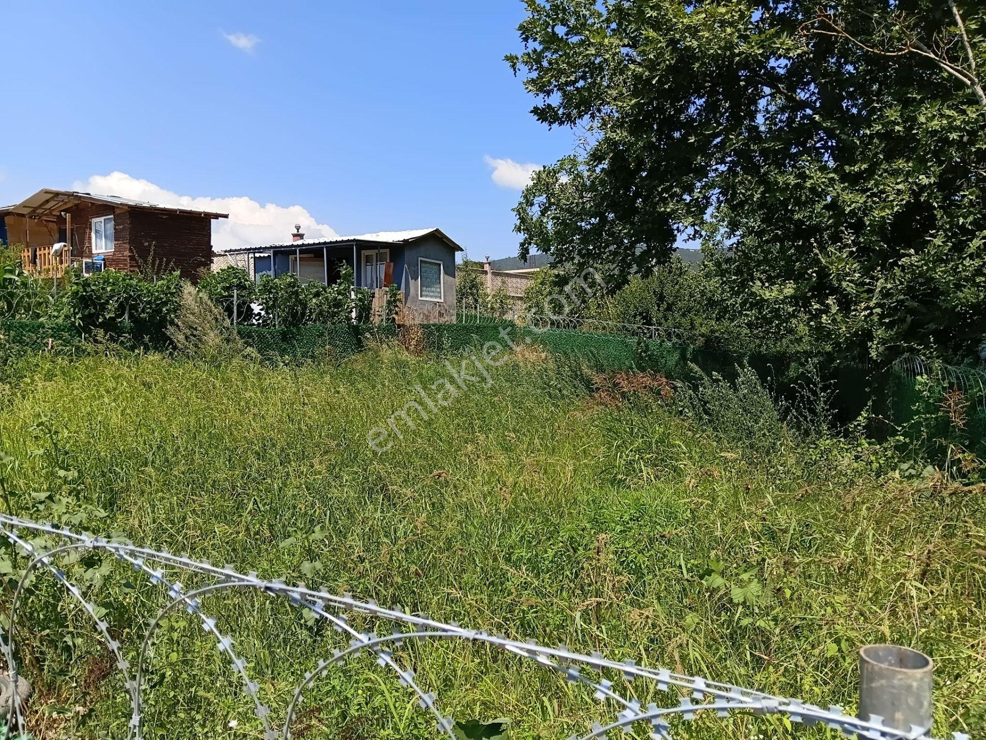Bursa Kestel Kayacık'ta Doğa Ve Orman Manzaralı 200 M² Hobi Bahçesi — fotoğraf 9