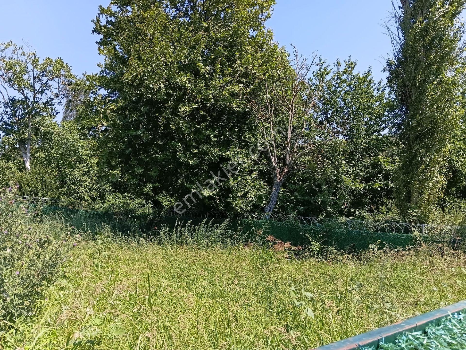 Bursa Kestel Kayacık'ta Doğa Ve Orman Manzaralı 200 M² Hobi Bahçesi — fotoğraf 10