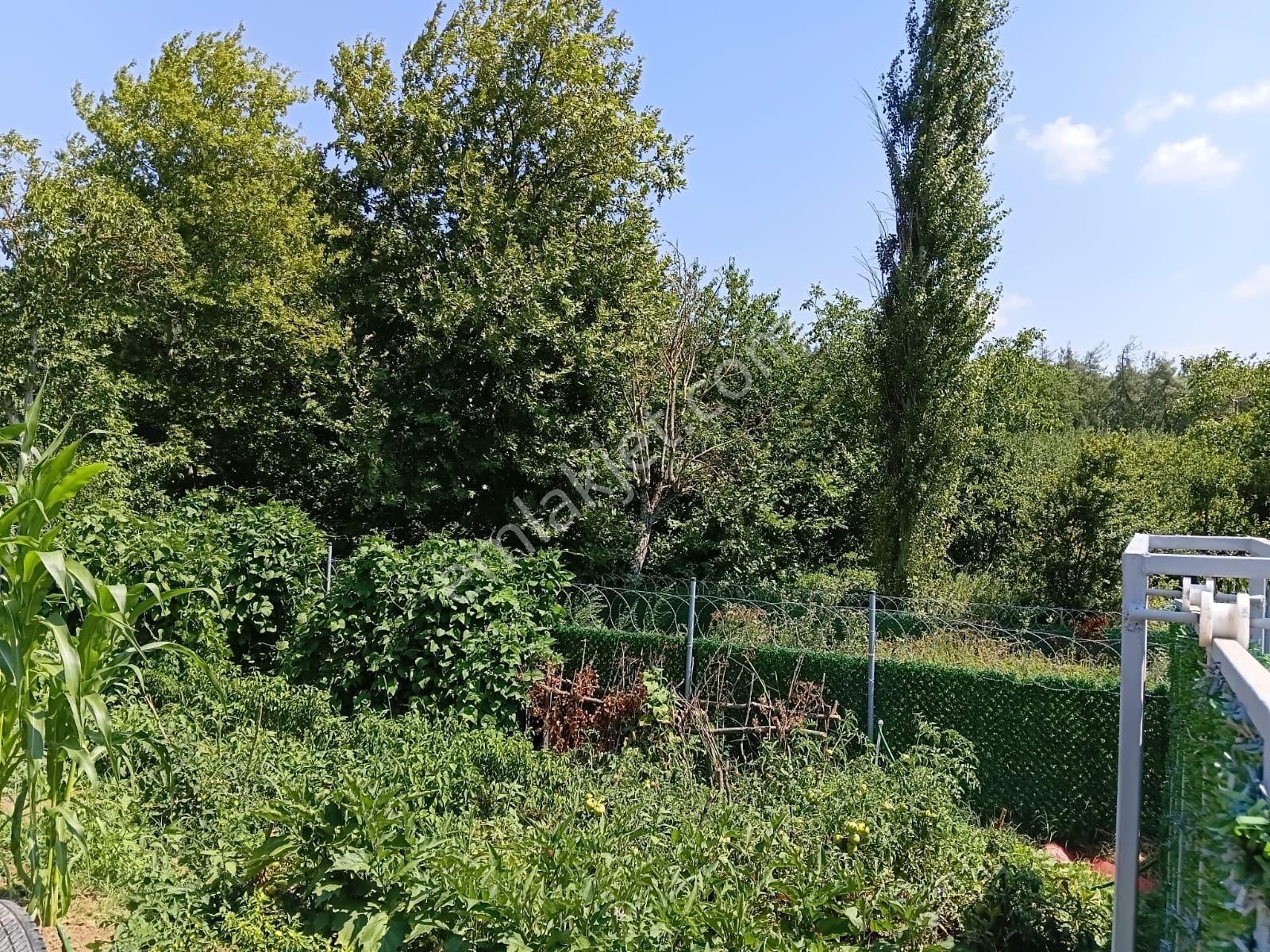 Bursa Kestel Kayacık'ta Doğa Ve Orman Manzaralı 200 M² Hobi Bahçesi — fotoğraf 11