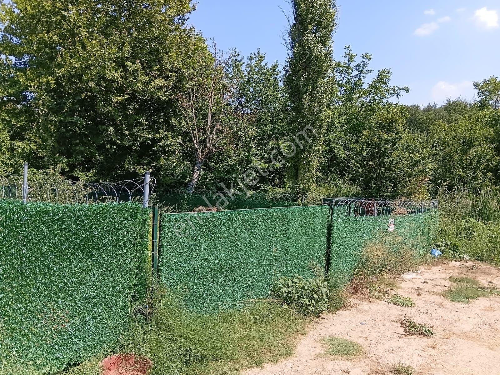 Bursa Kestel Kayacık'ta Doğa Ve Orman Manzaralı 200 M² Hobi Bahçesi — fotoğraf 12