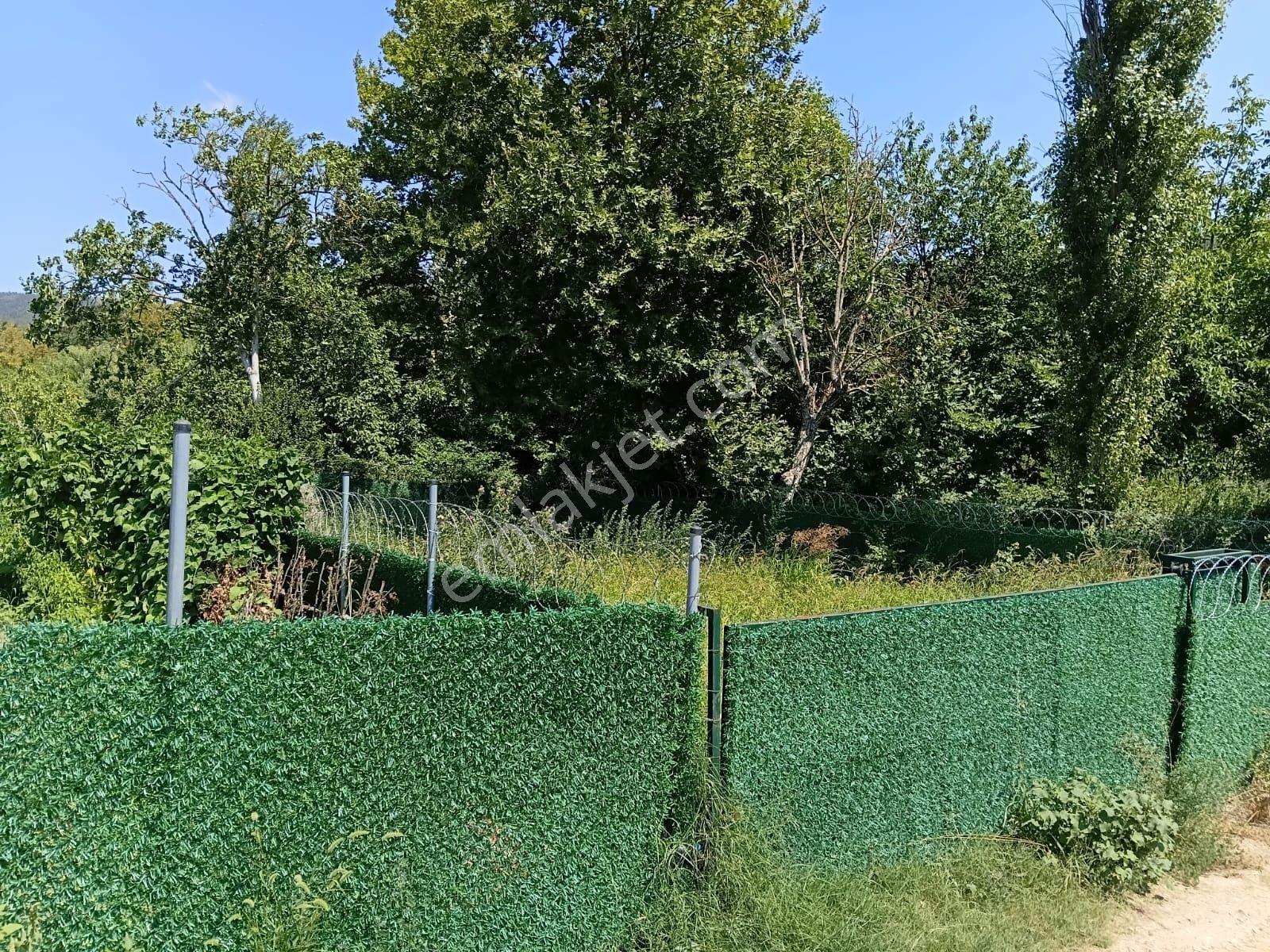 Bursa Kestel Kayacık'ta Doğa Ve Orman Manzaralı 200 M² Hobi Bahçesi — fotoğraf 13