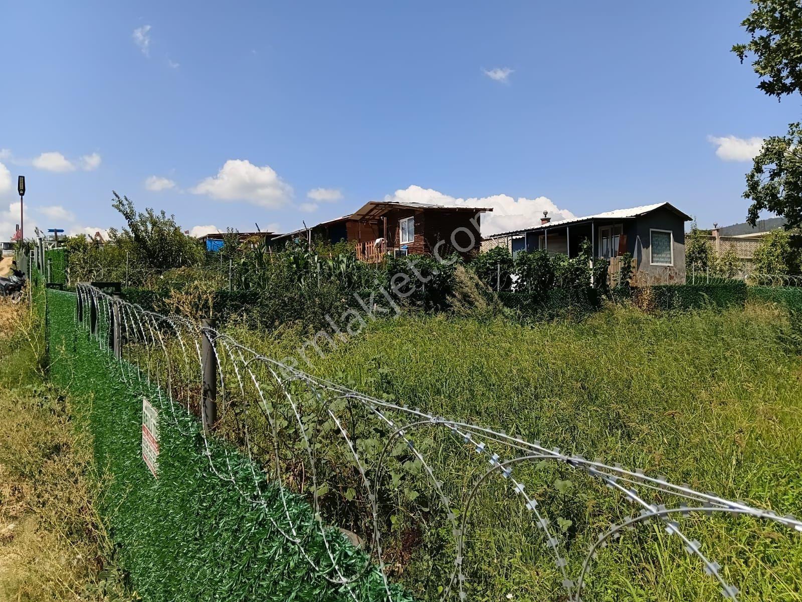 Bursa Kestel Kayacık'ta Doğa Ve Orman Manzaralı 200 M² Hobi Bahçesi — fotoğraf 14