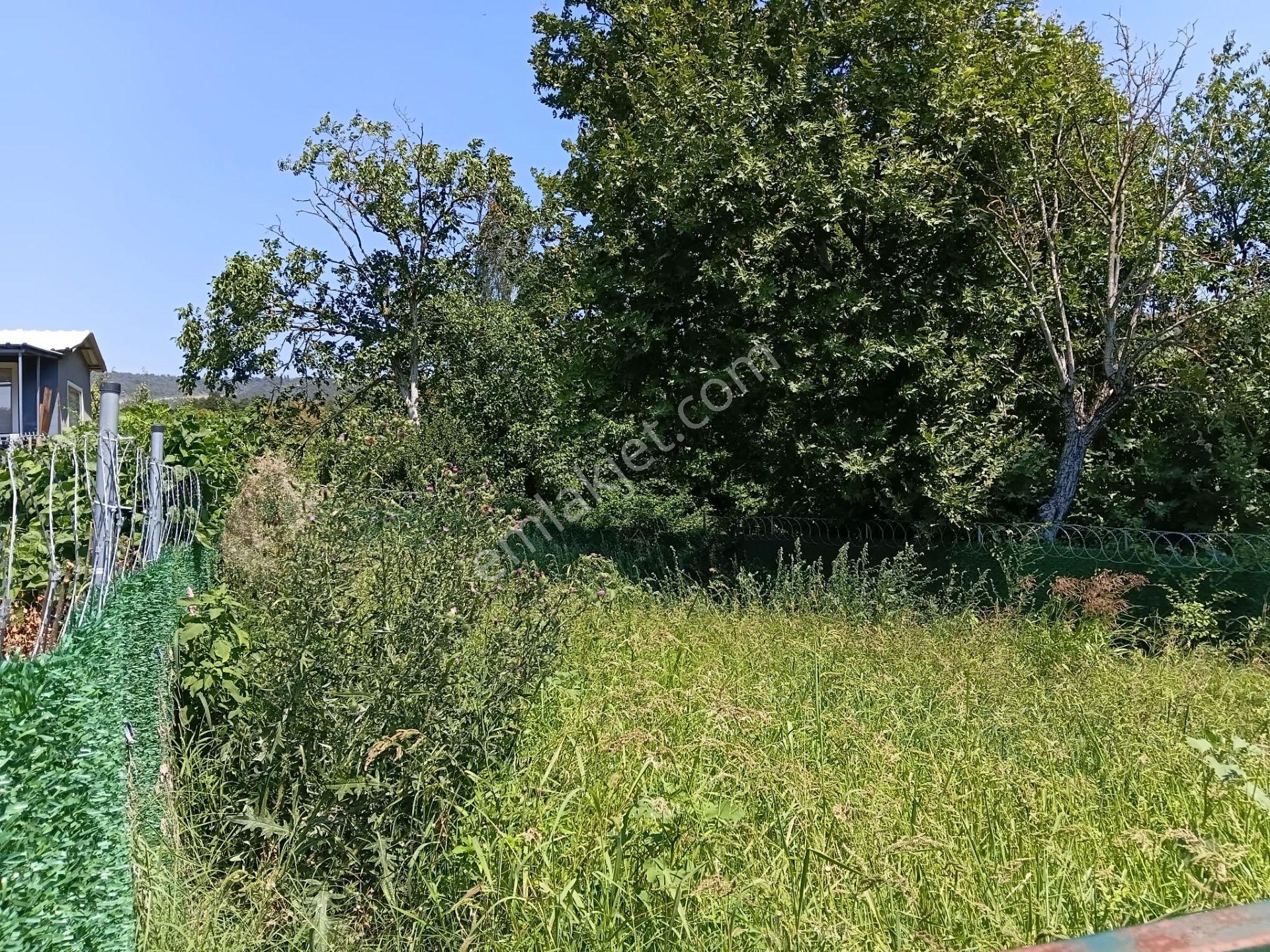 Bursa Kestel Kayacık'ta Doğa Ve Orman Manzaralı 200 M² Hobi Bahçesi — fotoğraf 16