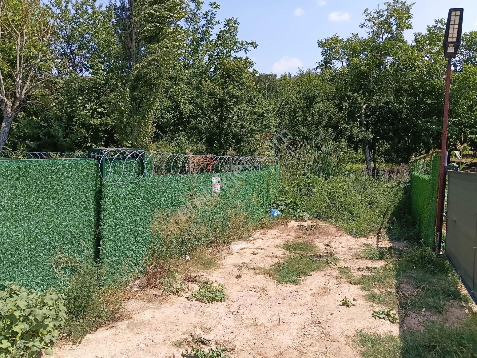 Bursa Kestel Kayacık'ta Doğa Ve Orman Manzaralı 200 M² Hobi Bahçesi — fotoğraf 17