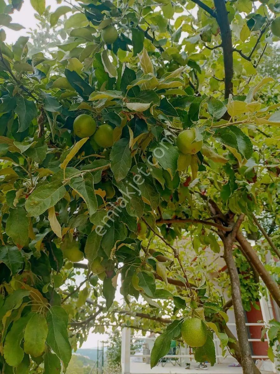 Bursa Kestel'de Toprağı Al, Hayata Başla! | İçinde Her Şey Hazır — fotoğraf 11