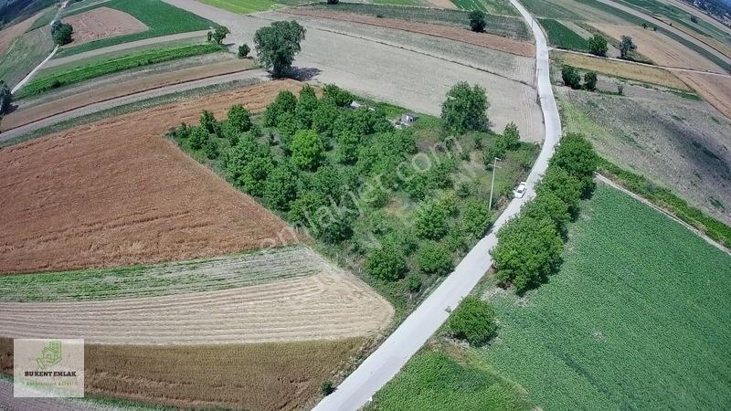 Solaklarda Satılık Asfalt Kenarı Elektrik Ve Suyu Olan Ceviz Bah