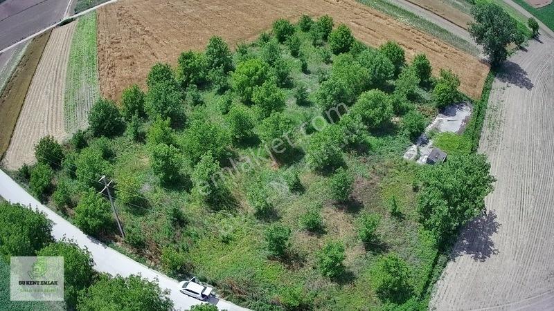Solaklarda Satılık Asfalt Kenarı Elektrik Ve Suyu Olan Ceviz Bah — fotoğraf 9