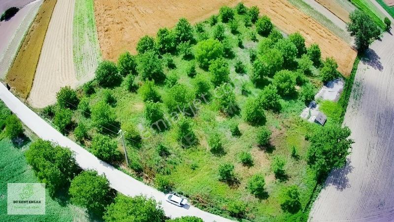 Solaklarda Satılık Asfalt Kenarı Elektrik Ve Suyu Olan Ceviz Bah — fotoğraf 10