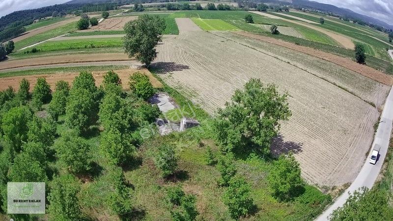 Solaklarda Satılık Asfalt Kenarı Elektrik Ve Suyu Olan Ceviz Bah — fotoğraf 15