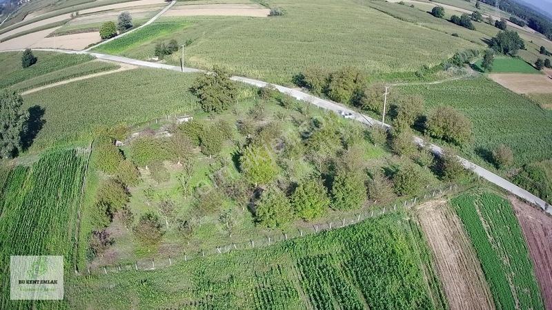 Solaklarda Satılık Asfalt Kenarı Elektrik Ve Suyu Olan Ceviz Bah — fotoğraf 16