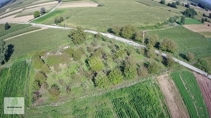 Solaklarda Satılık Asfalt Kenarı Elektrik Ve Suyu Olan Ceviz Bah — fotoğraf 18