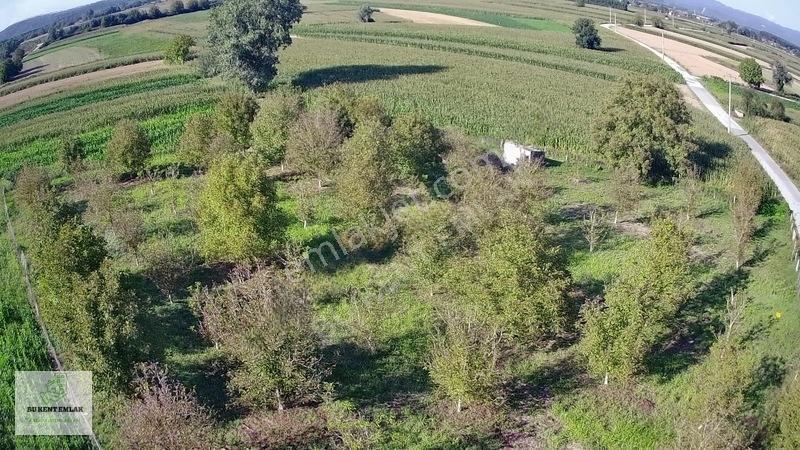 Solaklarda Satılık Asfalt Kenarı Elektrik Ve Suyu Olan Ceviz Bah — fotoğraf 20