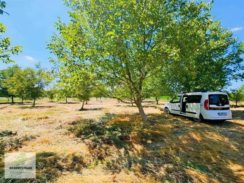 Solaklarda Satılık Asfalt Kenarı Elektrik Ve Suyu Olan Ceviz Bah — fotoğraf 28