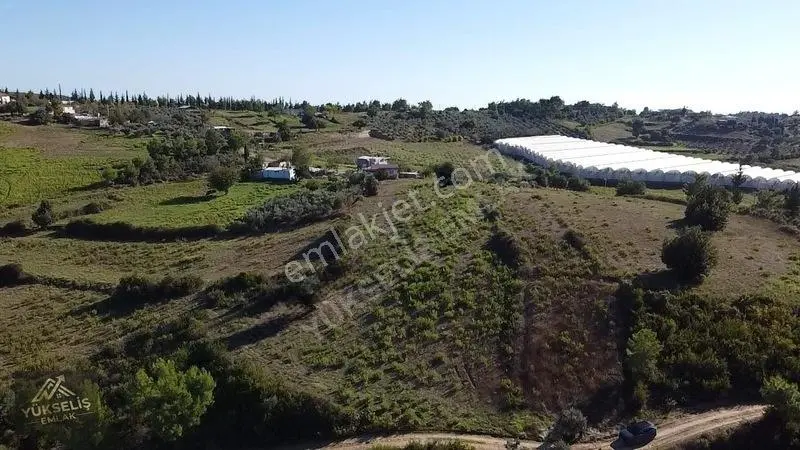 Aksaz Mahallesinde Tek Tapu Satılık Tarla — fotoğraf 11