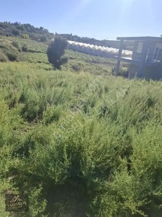 Aksaz Mahallesinde Tek Tapu Satılık Tarla — fotoğraf 13