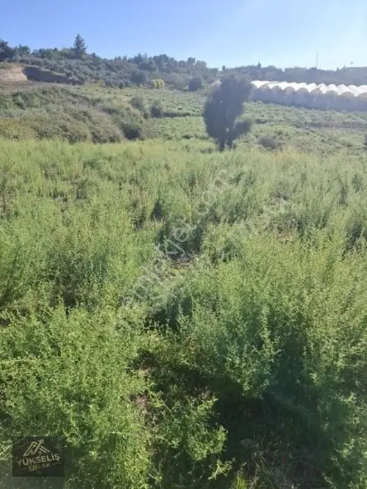 Aksaz Mahallesinde Tek Tapu Satılık Tarla — fotoğraf 14
