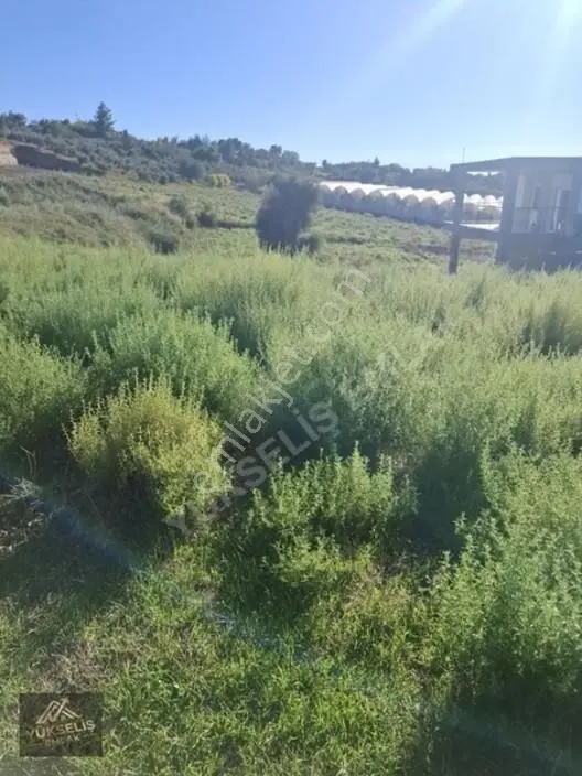 Aksaz Mahallesinde Tek Tapu Satılık Tarla — fotoğraf 18