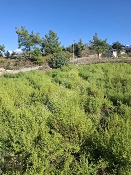 Aksaz Mahallesinde Tek Tapu Satılık Tarla — fotoğraf 19