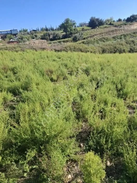 Aksaz Mahallesinde Tek Tapu Satılık Tarla — fotoğraf 20