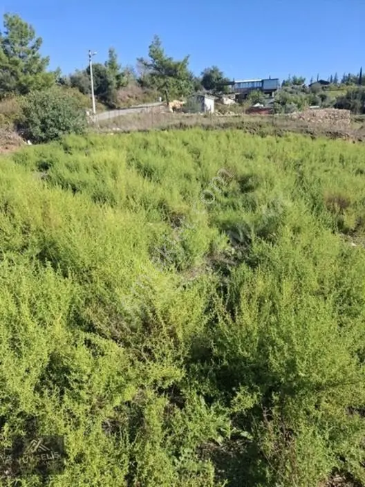 Aksaz Mahallesinde Tek Tapu Satılık Tarla — fotoğraf 21
