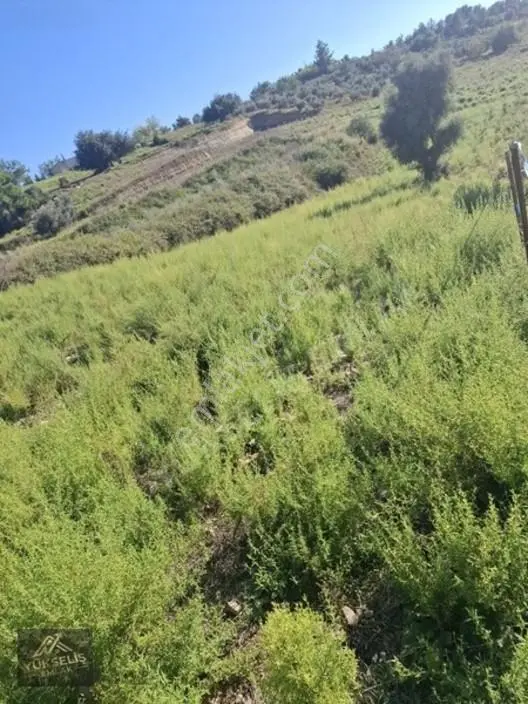 Aksaz Mahallesinde Tek Tapu Satılık Tarla — fotoğraf 22