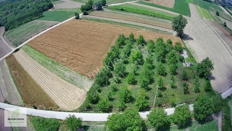 Solaklarda Satılık Asfalt Kenarı Elektrik Ve Suyu Olan Ceviz Bah