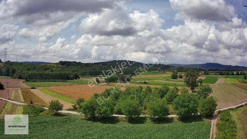 Solaklarda Satılık Asfalt Kenarı Elektrik Ve Suyu Olan Ceviz Bah — fotoğraf 2