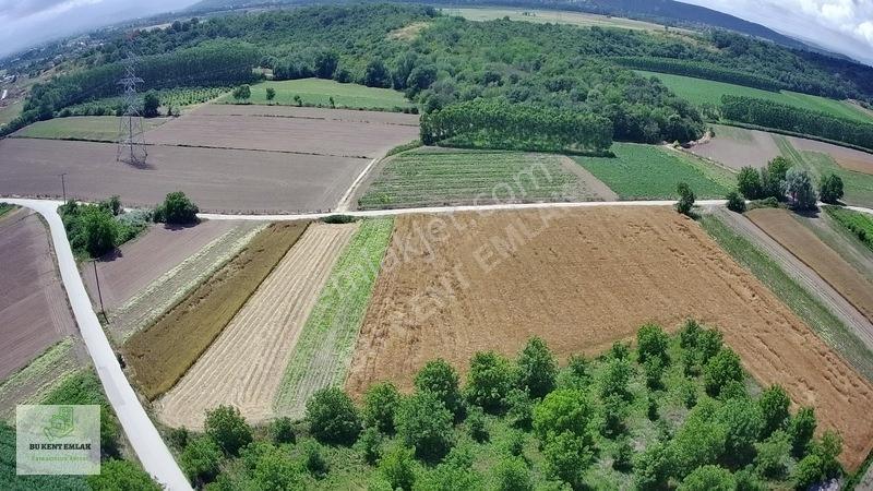Solaklarda Satılık Asfalt Kenarı Elektrik Ve Suyu Olan Ceviz Bah — fotoğraf 5