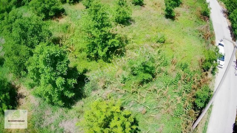 Solaklarda Satılık Asfalt Kenarı Elektrik Ve Suyu Olan Ceviz Bah — fotoğraf 7