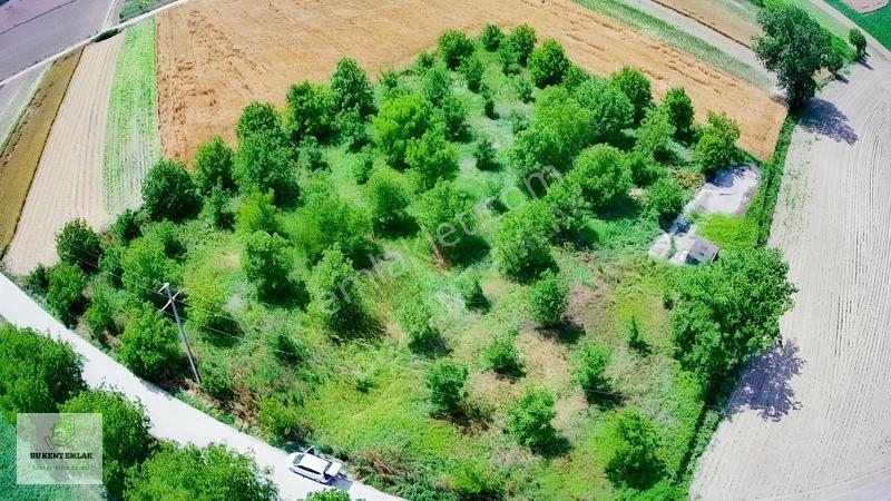 Solaklarda Satılık Asfalt Kenarı Elektrik Ve Suyu Olan Ceviz Bah — fotoğraf 9