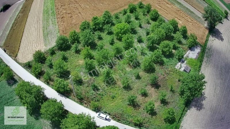 Solaklarda Satılık Asfalt Kenarı Elektrik Ve Suyu Olan Ceviz Bah — fotoğraf 10