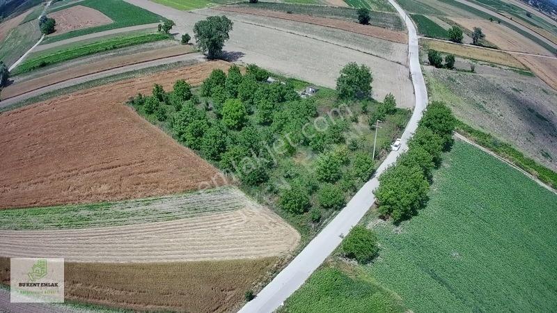 Solaklarda Satılık Asfalt Kenarı Elektrik Ve Suyu Olan Ceviz Bah — fotoğraf 11