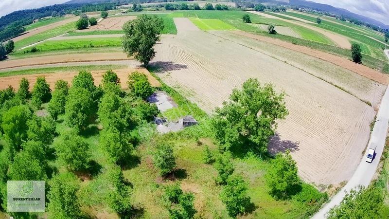 Solaklarda Satılık Asfalt Kenarı Elektrik Ve Suyu Olan Ceviz Bah — fotoğraf 15