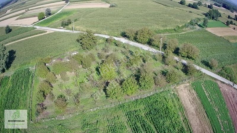 Solaklarda Satılık Asfalt Kenarı Elektrik Ve Suyu Olan Ceviz Bah — fotoğraf 18