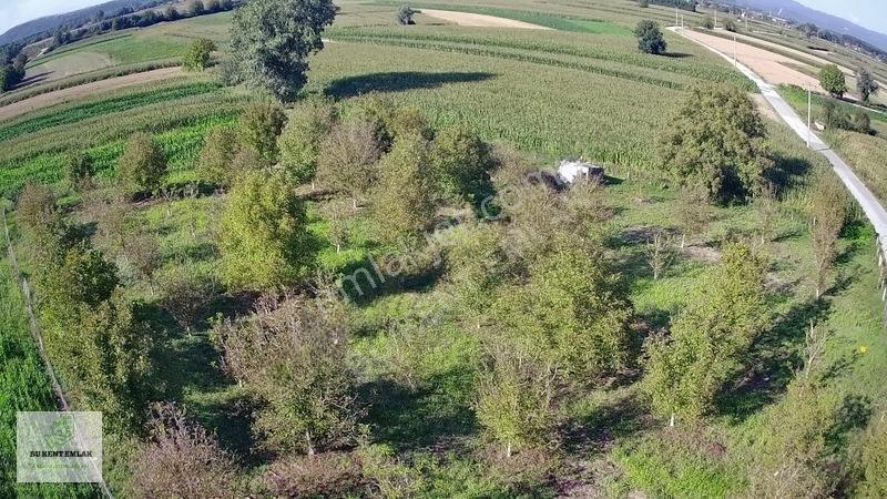 Solaklarda Satılık Asfalt Kenarı Elektrik Ve Suyu Olan Ceviz Bah — fotoğraf 20