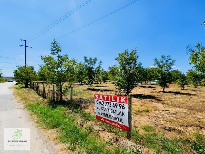 Solaklarda Satılık Asfalt Kenarı Elektrik Ve Suyu Olan Ceviz Bah — fotoğraf 24