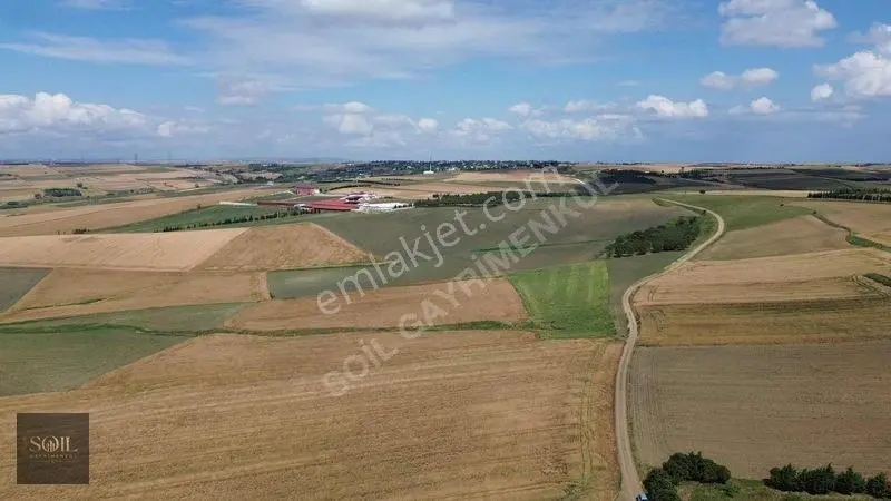 Tekirdağ Marmaraereğlisi 305M