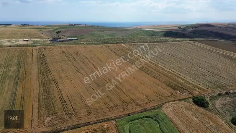 Tekirdağ Marmaraereğlisi 305m — fotoğraf 5